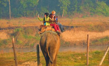 Elephant Ride
